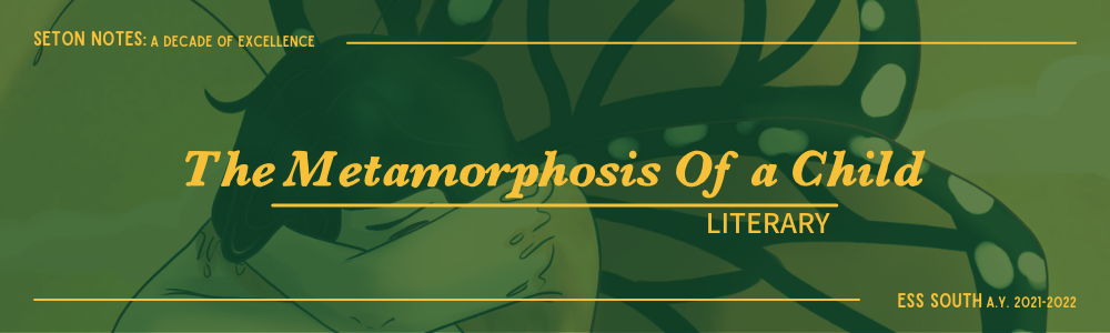 The Metamorphosis Of A Child The Metamorphosis Of A Child